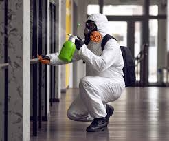 Reliable Dutch Island, GA Mold Removal & Remediation Solutions